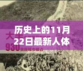 产品中心 第511页