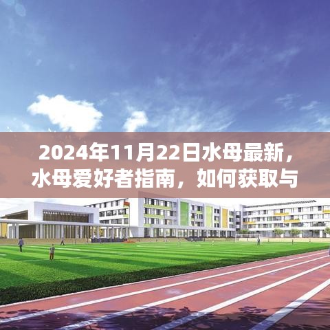 2024年水母爱好者指南，最新获取与养护水母的实用建议