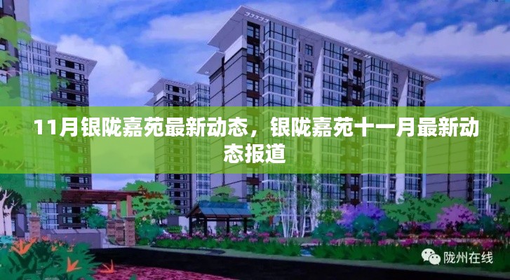 11月银陇嘉苑最新动态，银陇嘉苑十一月最新动态报道