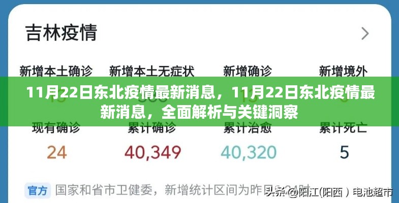 东北疫情最新动态，全面解析与关键洞察（11月22日更新）