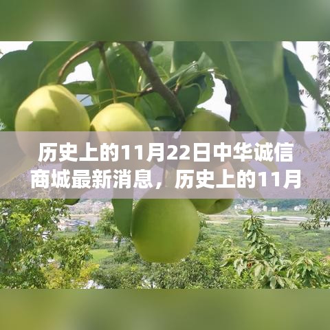 历史上的11月22日，中华诚信商城最新发展动态