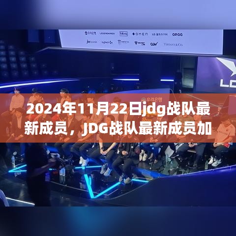 揭秘JDG战队最新成员加入指南，从零起步，成为粉丝的必备指南（2024年11月版）
