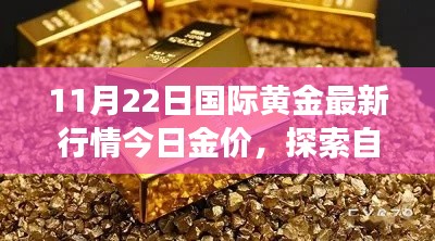 11月22日国际黄金最新行情今日金价，探索自然美景之旅，今日黄金行情下的心灵慰藉与启程勇气