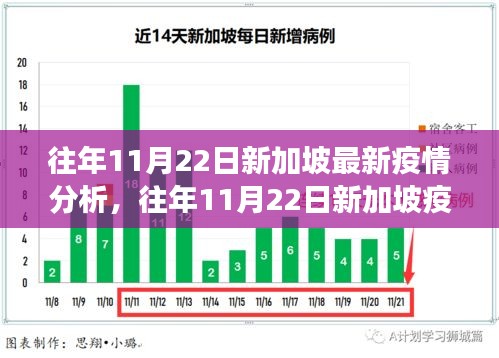 新加坡疫情深度解析，往年1月疫情数据与最新分析揭示防控成效与挑战