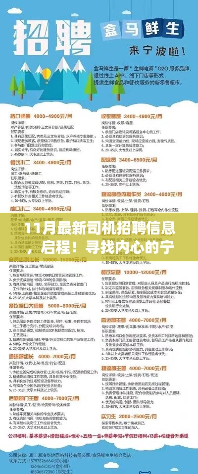 最新司机招聘信息发布，启程寻找内心的宁静与美景之旅