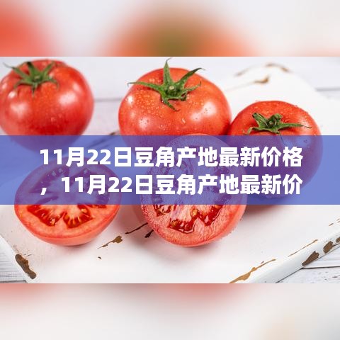 11月22日豆角产地最新价格走势及分析，多方观点与个人立场碰撞