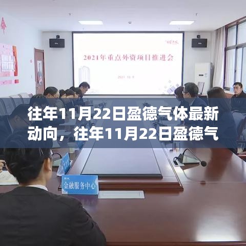 揭秘，盈德气体行业变革与未来动向揭秘，11月22日最新动态分析。