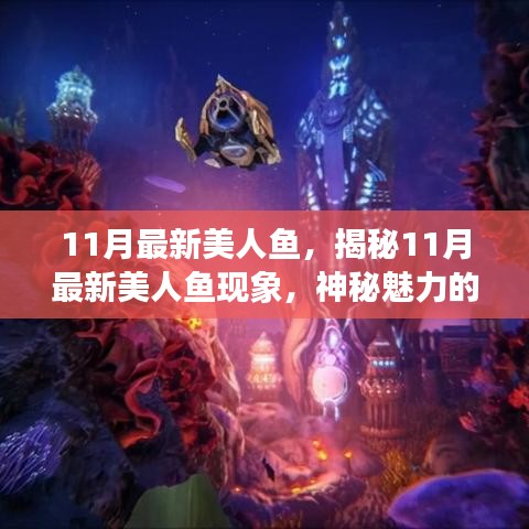 揭秘美人鱼现象，探索神秘魅力的最新美人鱼之旅（11月版）