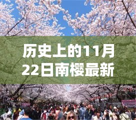 历史上的南樱最新高科技产品重塑生活，未来科技力量的体验日（或体验南樱最新科技重塑未来生活）