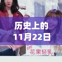 历史上的11月22日，最新靓车的影响力与争议揭秘