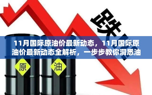 洞悉油价走势，全面解析11月国际原油最新动态