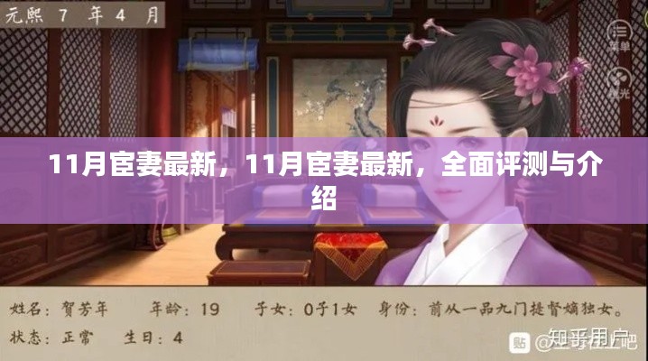 最新评测与介绍，11月宦妻最新动态