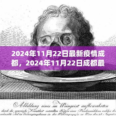2024年11月22日成都疫情最新动态与应对步骤指南——初学者到进阶用户的必备手册