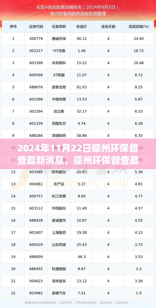 2024年德州环保督查最新进展深度解析，最新消息与行动成果