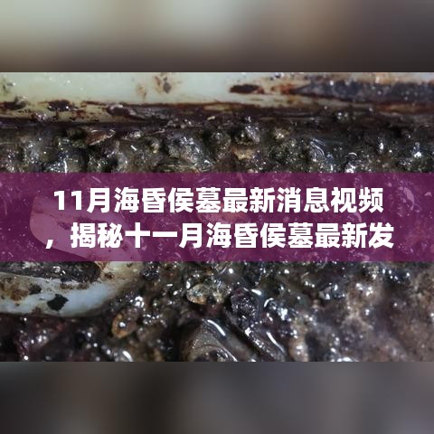 揭秘十一月海昏侯墓最新发掘动态，历史重现震撼心灵的新发现视频