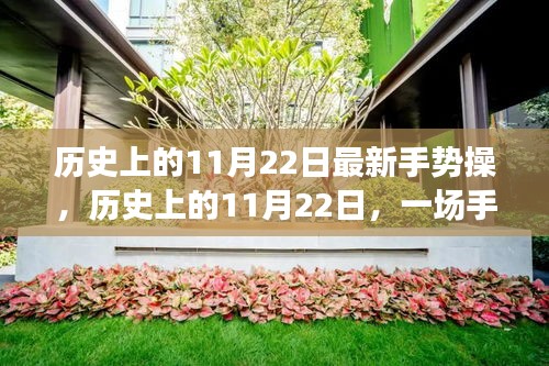 历史上的11月22日，手势操与自然美景的交融之旅
