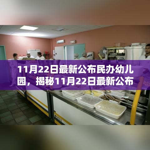 揭秘最新民办幼儿园动态，教育质量与创新模式的探索（11月22日更新）
