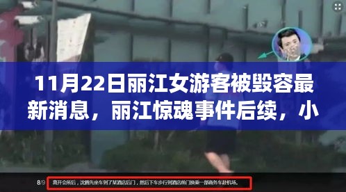 丽江惊魂事件后续，女游客被毁容事件揭秘与神秘小巷特色小店的探寻故事