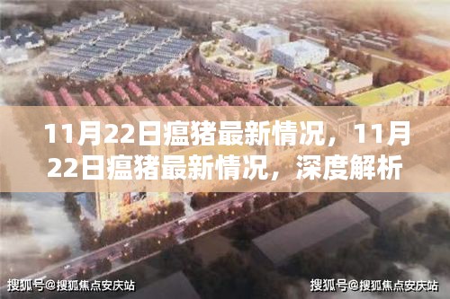 深度解析与案例探讨，11月22日瘟猪最新情况