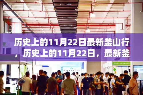 历史上的11月22日，最新釜山行事件深度解读