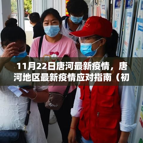 唐河地区最新疫情应对指南，初学者与进阶用户的必备指南（11月22日更新）
