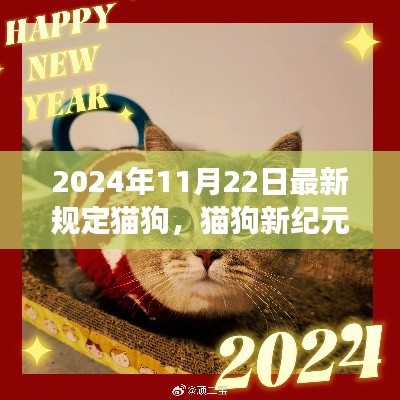 猫狗新纪元，轻松指南带你探索自然之旅