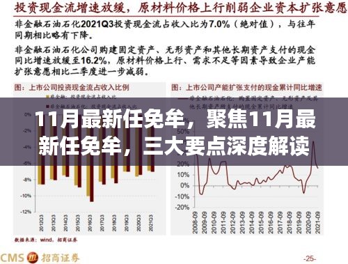聚焦11月最新人事任免，三大要点深度解读