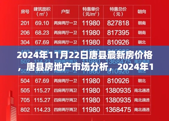 唐县最新房价动态及房地产市场分析，展望2024年11月22日未来趋势