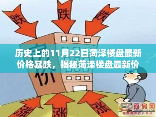 揭秘菏泽楼盘价格暴跌背后的真相，洞悉市场变化与明智决策之道（历史上的11月22日）