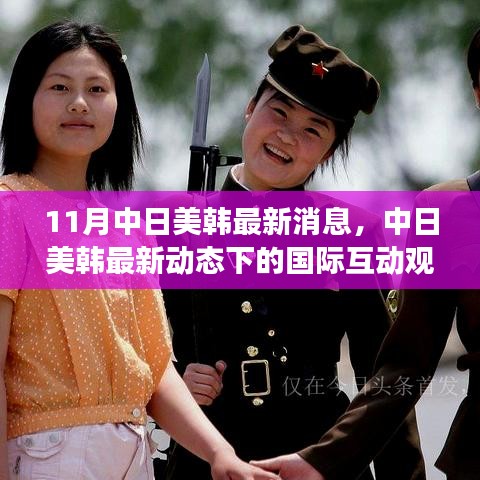 11月中日美韩最新消息，中日美韩最新动态下的国际互动观察与展望