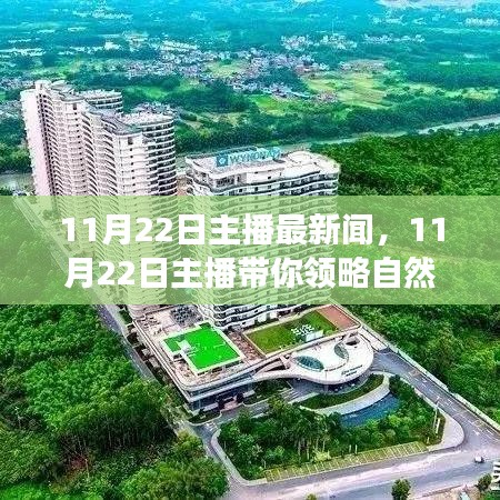 11月22日主播带你探索自然秘境，探寻旅行魔法与内心宁静之旅