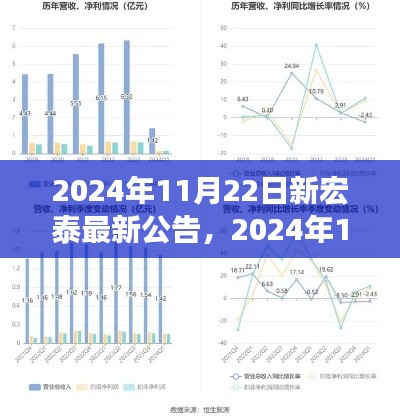 新宏泰集团重磅公告发布，前瞻发展策略与未来展望