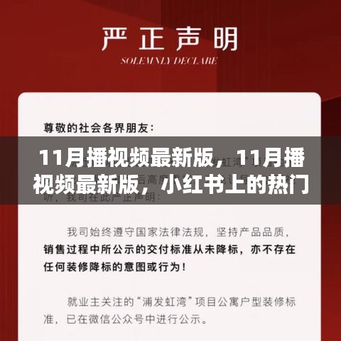 11月播视频最新版，小红书热门视听盛宴，潮流精彩瞬间一览