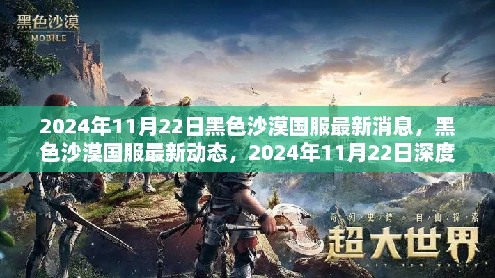 2024年11月22日黑色沙漠国服最新动态深度解析
