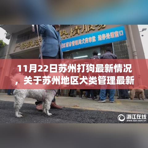 苏州犬类管理最新动态，聚焦打狗事件探讨（截至11月22日）