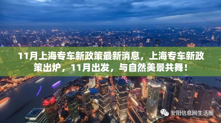 上海专车新政策出炉，与自然美景共舞，11月出发！