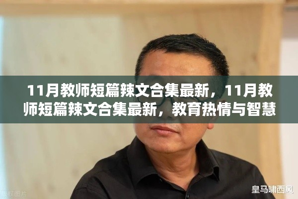 教育激情与智慧的碰撞，最新教师短篇辣文精选集（非涉黄内容）