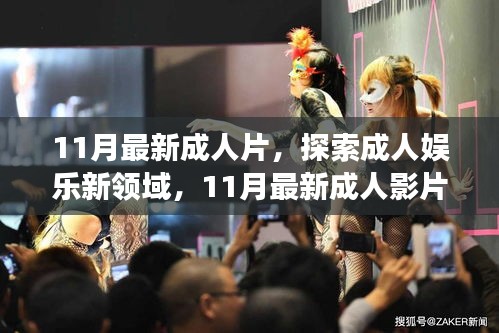 11月最新成人片，探索成人娱乐新领域，11月最新成人影片深度解析（内容需健康、合法）