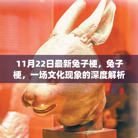 11月22日最新兔子梗，兔子梗，一场文化现象的深度解析