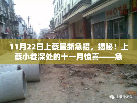 上蔡小巷深处的惊喜，揭秘十一月急招特色小店探秘之旅