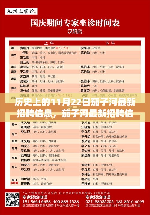 历史上的11月22日茄子河最新招聘信息，茄子河最新招聘信息深度测评，历史上的11月22日与当下机遇一览