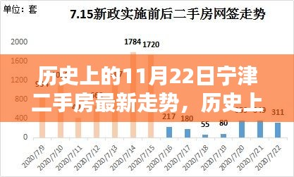 历史上的11月22日宁津二手房最新走势，历史上的11月22日宁津二手房最新走势解析及购房指南