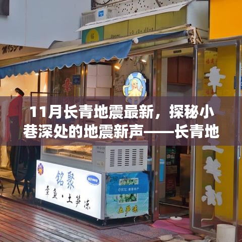 长青地震最新动态，小巷深处的地震新声——独特小店之旅
