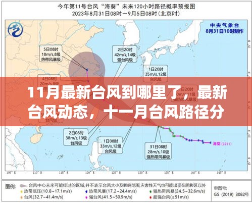 最新台风动态，11月台风的路径分析与影响展望