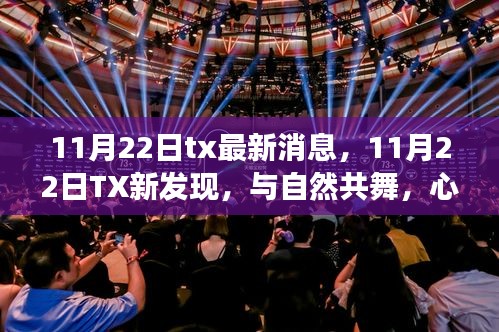 11月22日TX最新动态，与自然共舞的心灵奇妙之旅