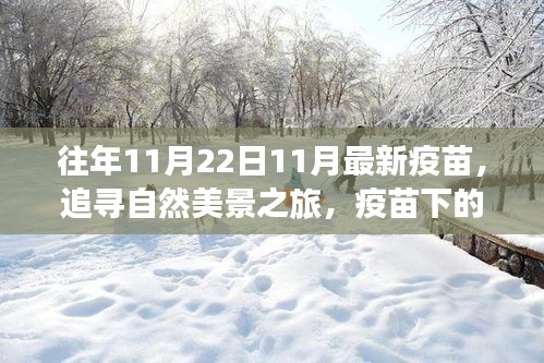 疫苗下的自然探索之旅，冒险与心灵宁静的交融体验