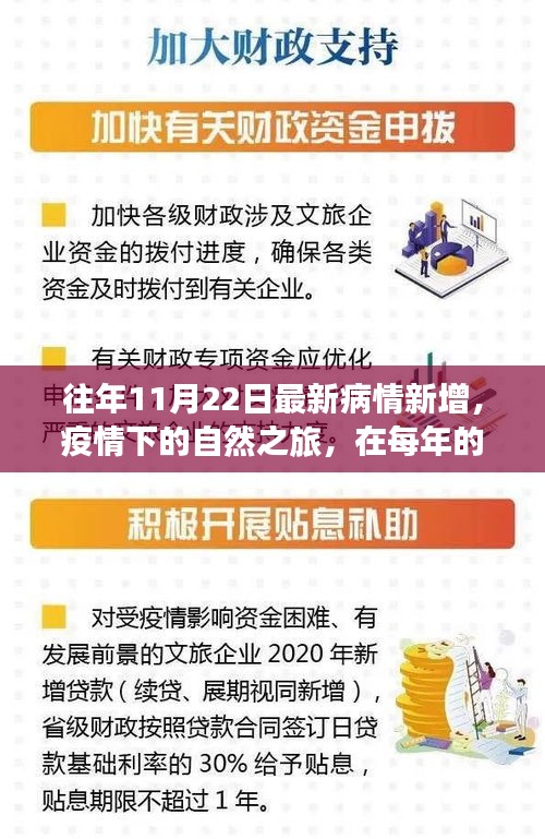 疫情下的奇迹之旅，每年的11月22日探寻内心的宁静与美景的奇迹