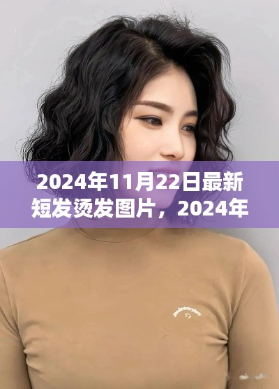 2024年最新短发烫发图片评测与深度解析，特性、使用体验与目标用户一网打尽