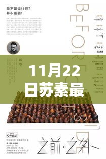揭秘苏素新动态，新征程与成就闪耀登场！