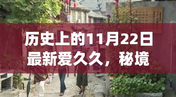 历史上的11月22日，独特风味之旅，秘境探秘与小巷深处的爱久久